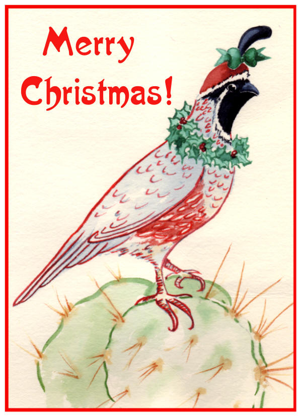 Southwest Christmas / Holiday Cards